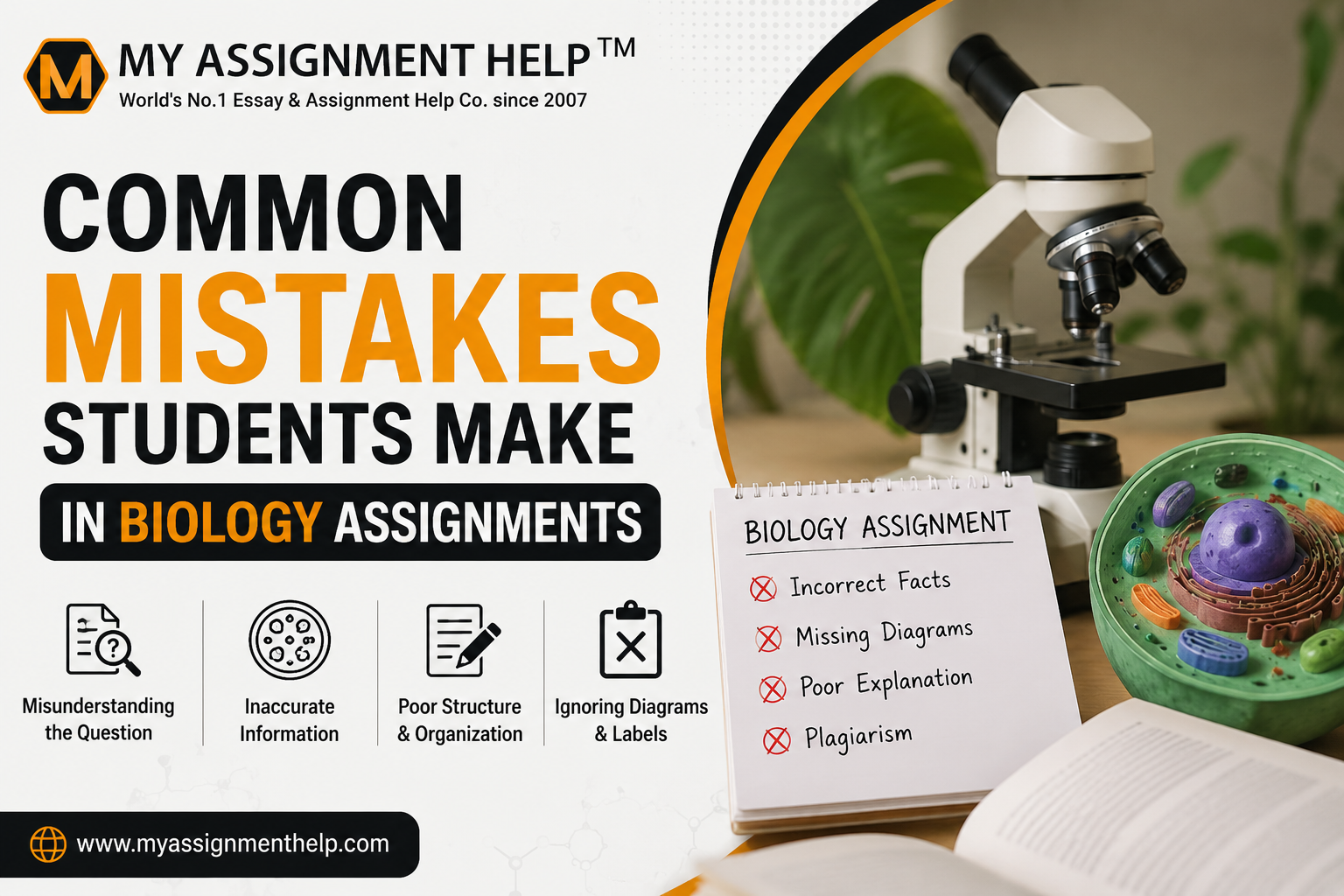 Decoding the DNA of a Perfect Grade: Common Mistakes Students Make in Biology Assignments